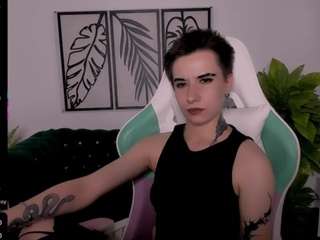 reinramm webcam
