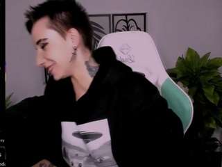 reinramm webcam