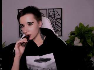 reinramm webcam