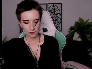 reinramm webcam model