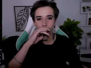 reinramm webcam