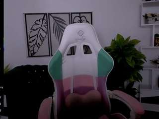 reinramm webcam