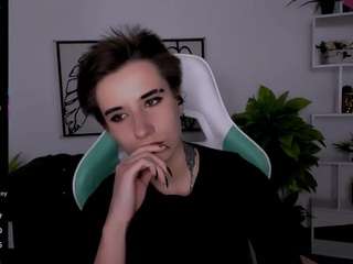 reinramm webcam