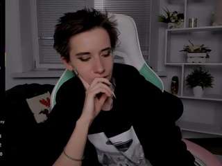 reinramm webcam model