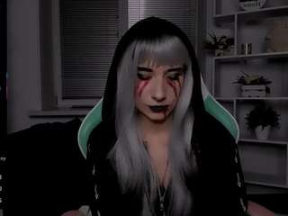 reinramm webcam
