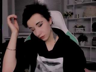 reinramm webcam