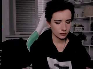 reinramm webcam