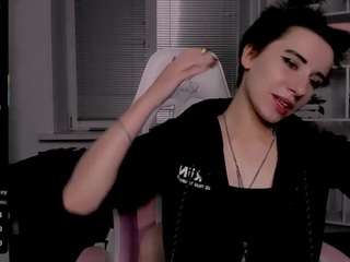 reinramm webcam