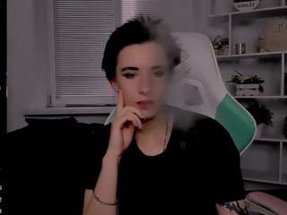 reinramm webcam
