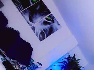 misstresshotsexy Live Webcam on CamSoda