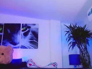 misstresshotsexy webcam