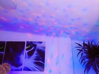 misstresshotsexy webcam
