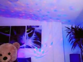 misstresshotsexy webcam