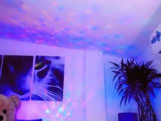 misstresshotsexy webcam