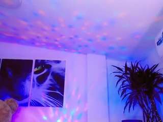 misstresshotsexy webcam