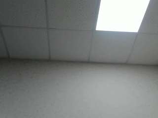 SheilaWetDream live webcam show