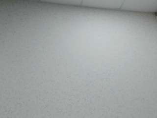 sheilawetdream