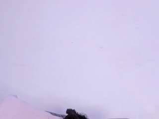 IsaMeow