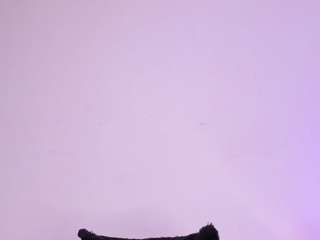 IsaMeow