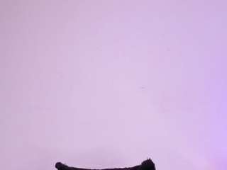 IsaMeow