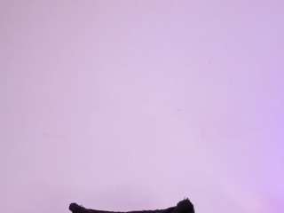 IsaMeow