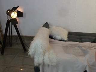 lauracolor