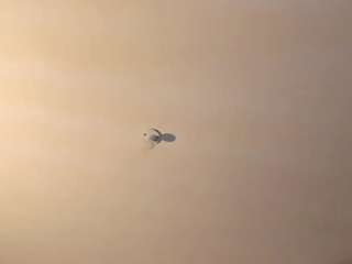 sinthiacollins live cam profile