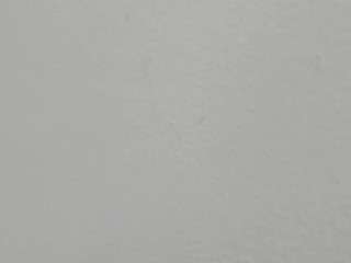 alejandra-dunn webcam