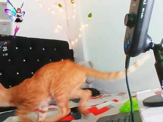 cute-charlotte webcam