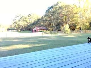 jadebay webcam