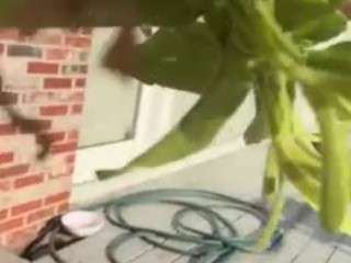 Live webcam model jadebay on Soda Cams