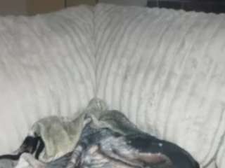 Live webcam model jadebay on Soda Cams