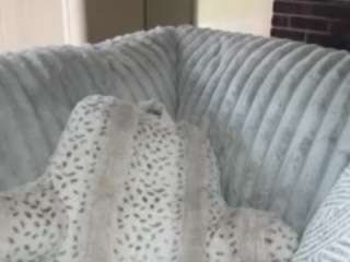 Shorts off plus clap ass [245 tokens remaining]