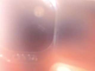 lexiiegrey Live Webcam on CamSoda