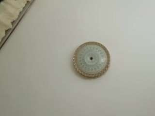 amalarabic Live Webcam on CamSoda