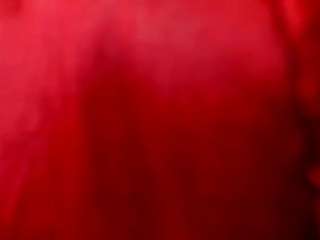 StacyEvansX