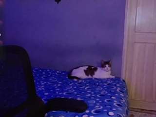 eimy-nicolls