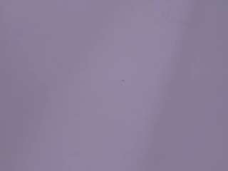 layda-frodita webcam model