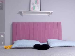 alexa-parissbk webcam