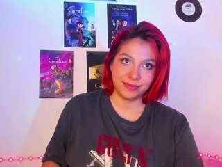 hayden-howland webcam