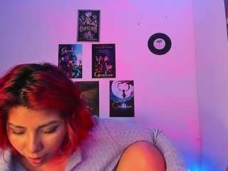hayden-howland webcam model