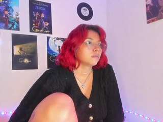 hayden-howland webcam