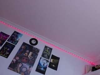 Hayden-Howland live cam preview