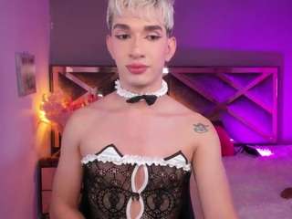 danttee live cam profile