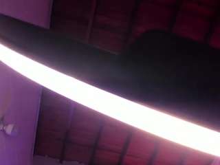 danttee