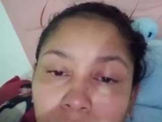 karlapum webcam