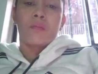 karlapum webcam