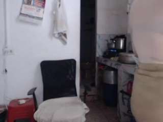 karlapum live cam