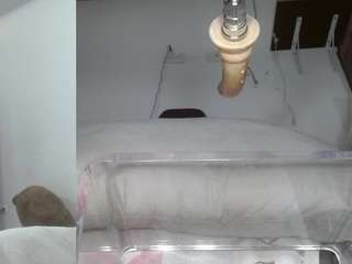 sammy-evaans Live Webcam on CamSoda