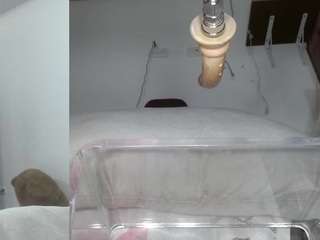 sammy-evaans webcam model